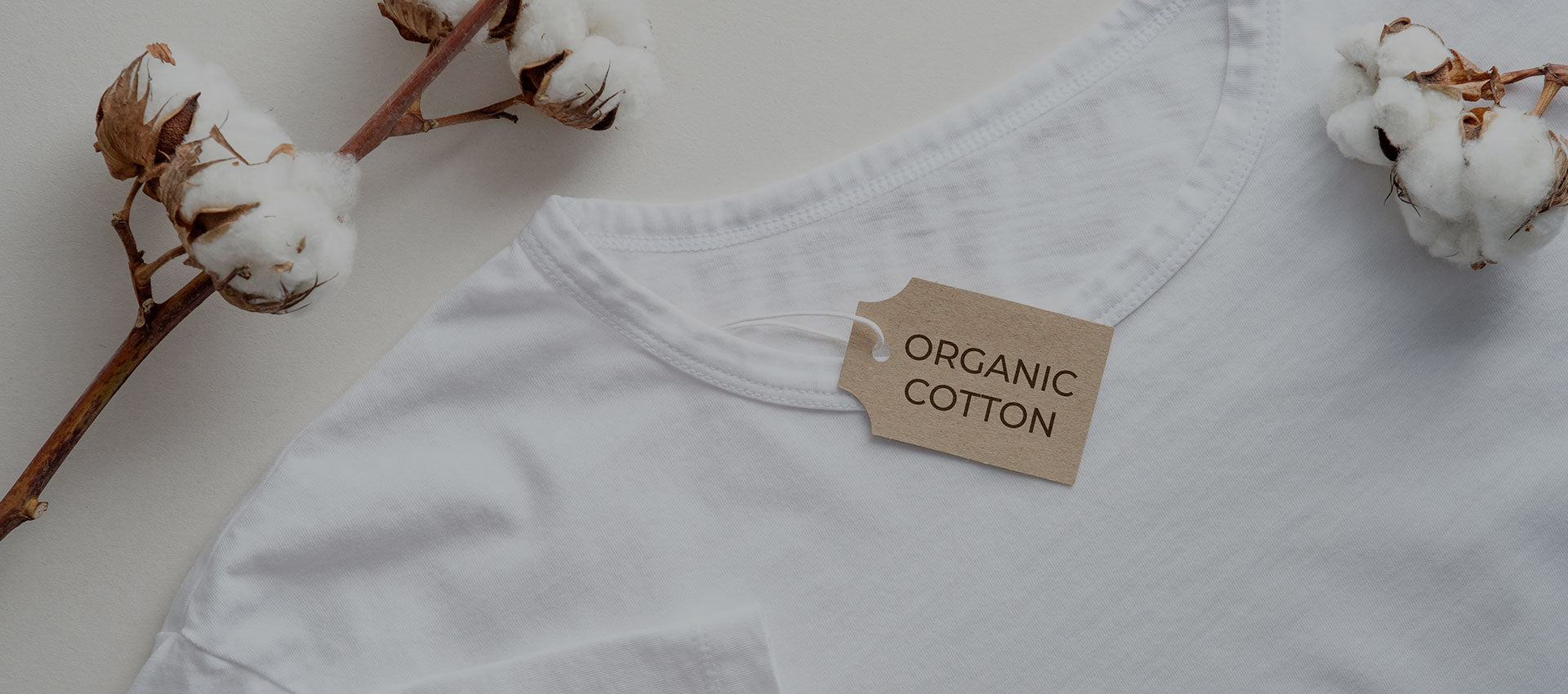 regenerative organic cotton shorts – VINCENT JAMES